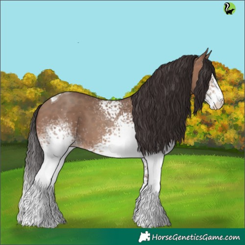 Horse Color:White Spotted Sable Champagne Tobiano 