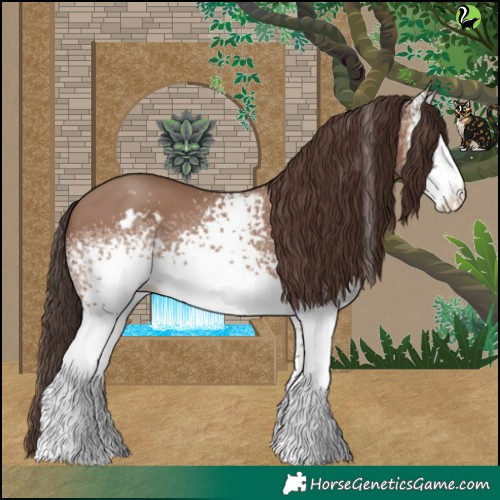 Horse Color:White Spotted Classic Champagne 