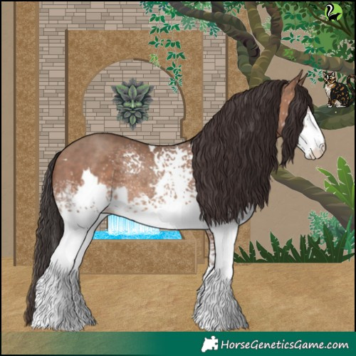 Horse Color:White Spotted Sable Champagne 