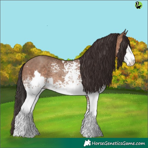 Horse Color:White Spotted Sable Champagne 