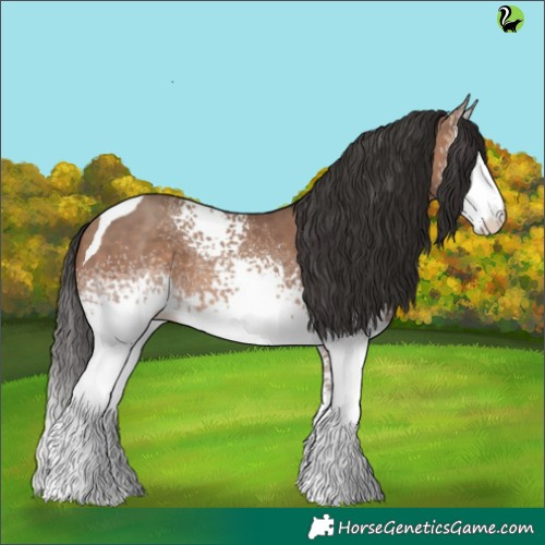 Horse Color:White Spotted Sable Champagne Tobiano 