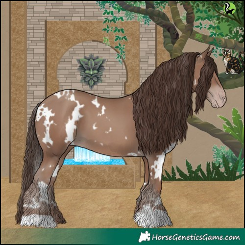 Horse Color:White Spotted Classic Champagne 