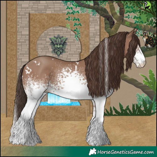 Horse Color:White Spotted Classic Champagne 