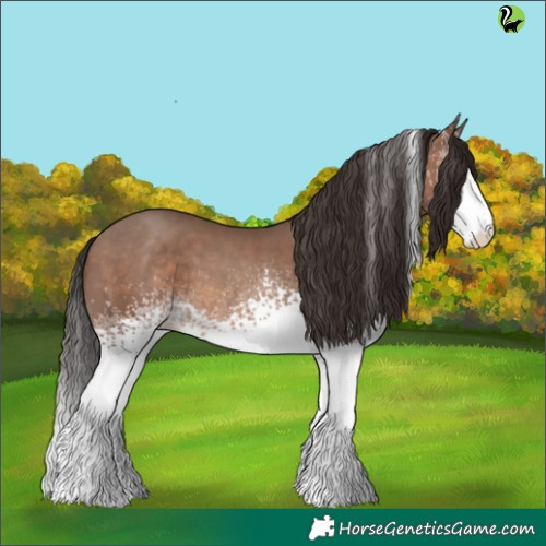 Horse Color:White Spotted Sable Champagne Tobiano 