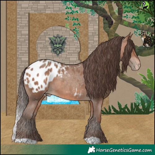 Horse Color:Sable Champagne Appaloosa 