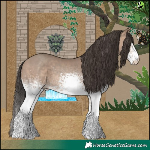 Horse Color:White Spotted Sable Champagne 