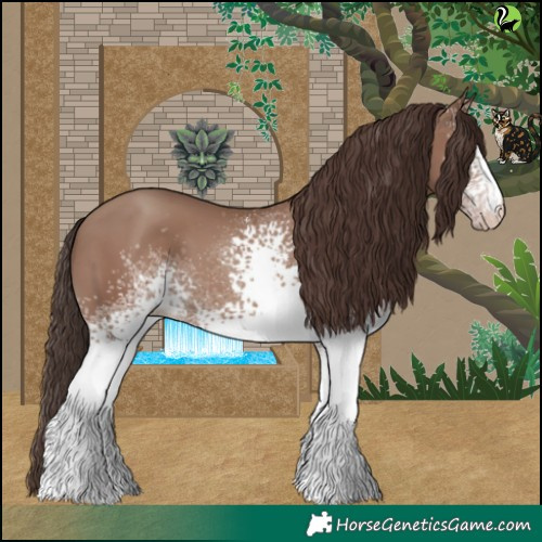 Horse Color:White Spotted Classic Champagne 