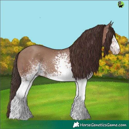 Horse Color:White Spotted Classic Champagne