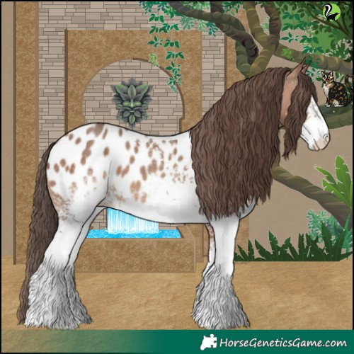 Horse Color:White Spotted Sable Champagne Appaloosa 