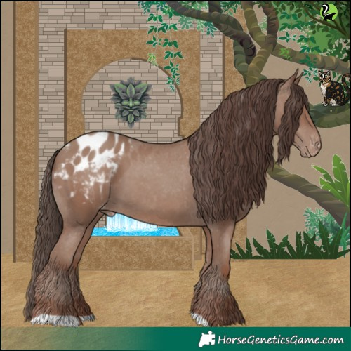 Horse Color:Classic Champagne Appaloosa 