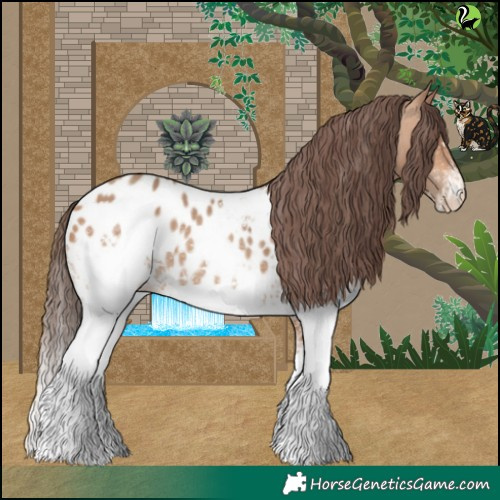 Horse Color:White Spotted Amber Champagne Appaloosa 