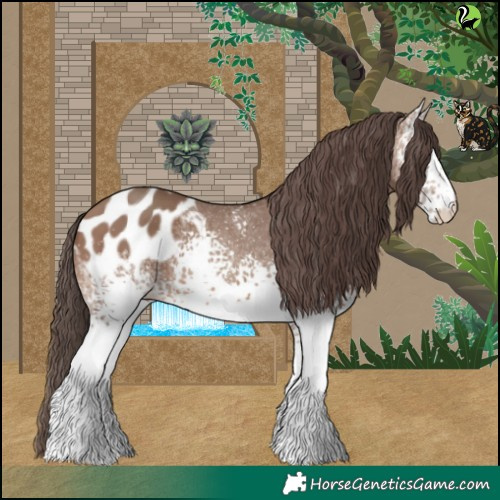 Horse Color:White Spotted Sable Champagne Appaloosa 