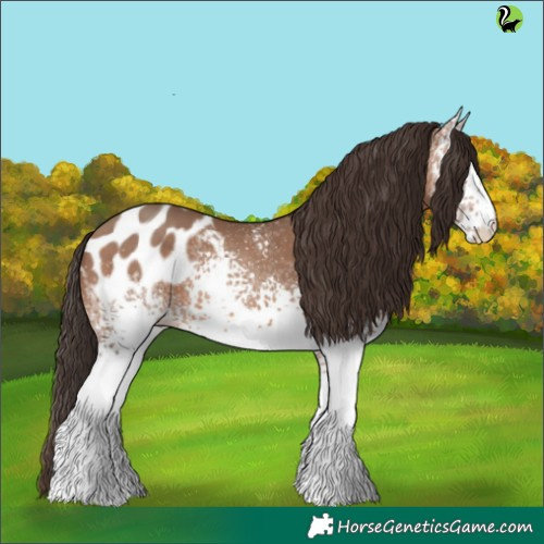 Horse Color:White Spotted Sable Champagne Appaloosa 