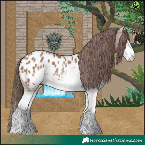 Horse Color:White Spotted Classic Champagne Appaloosa 