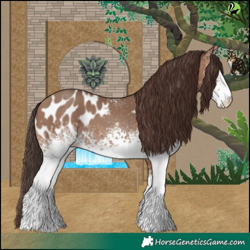 Horse Color:White Spotted Sable Champagne Appaloosa 