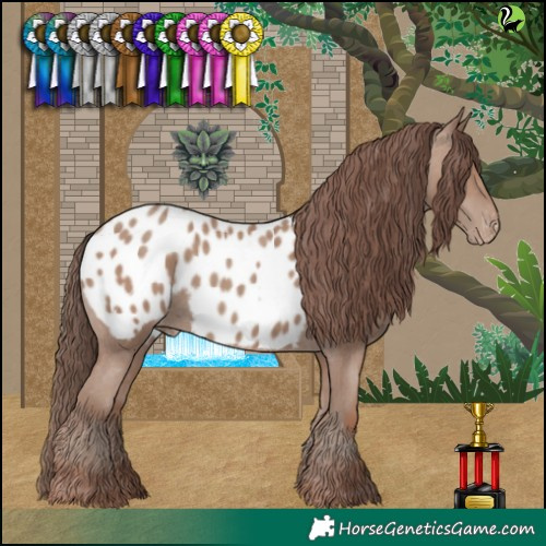 Horse Color:Classic Champagne Blanket 