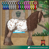 Horse Color:Classic Champagne Blanket