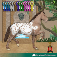 Horse Color:Classic Champagne Blanket 