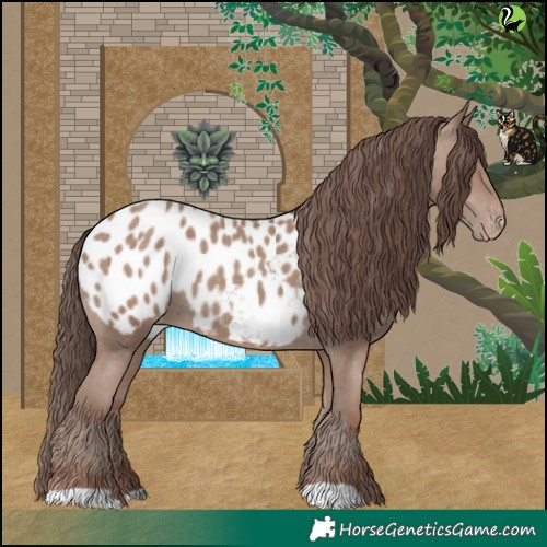 Horse Color:Classic Champagne Appaloosa 