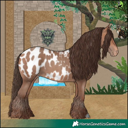 Horse Color:Sable Champagne Appaloosa 