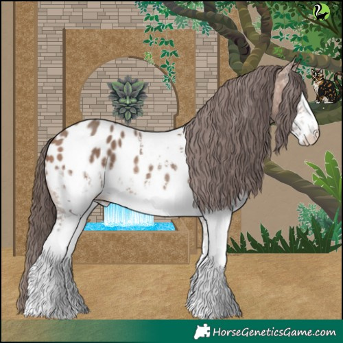 Horse Color:White Spotted Sable Champagne Appaloosa 