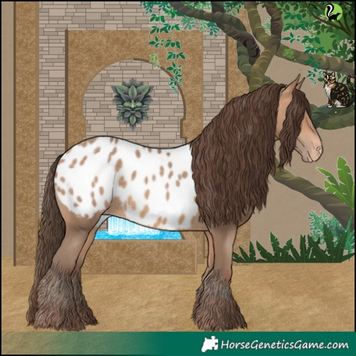 Horse Color:Amber Champagne Appaloosa 