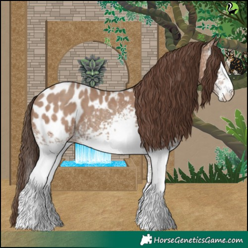 Horse Color:White Spotted Classic Champagne Appaloosa 