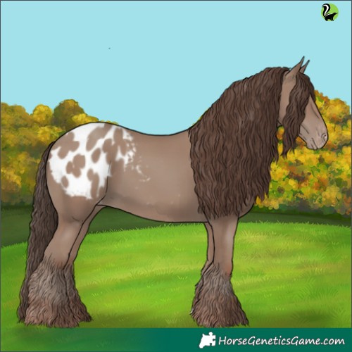 Horse Color:Classic Champagne Appaloosa 