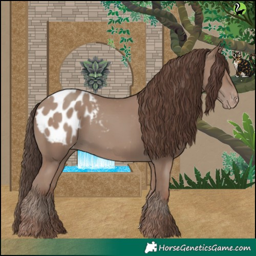 Horse Color:Classic Champagne Appaloosa 