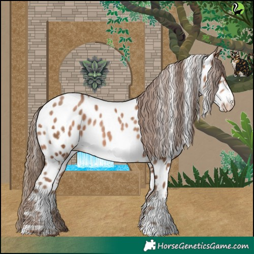 Horse Color:White Spotted Brown Pearl Appaloosa 