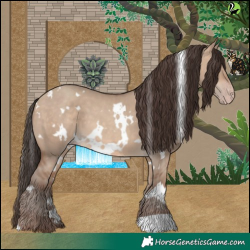 Horse Color:White Spotted Sable Champagne Dun 