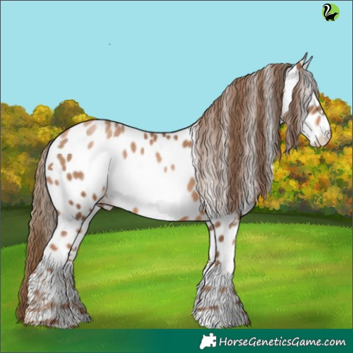 Horse Color:White Spotted Liver Chestnut Pearl Appaloosa