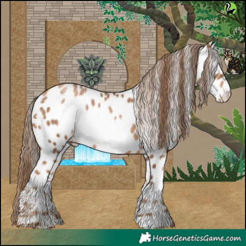 Horse Color:White Spotted Liver Chestnut Pearl Near Leopard 