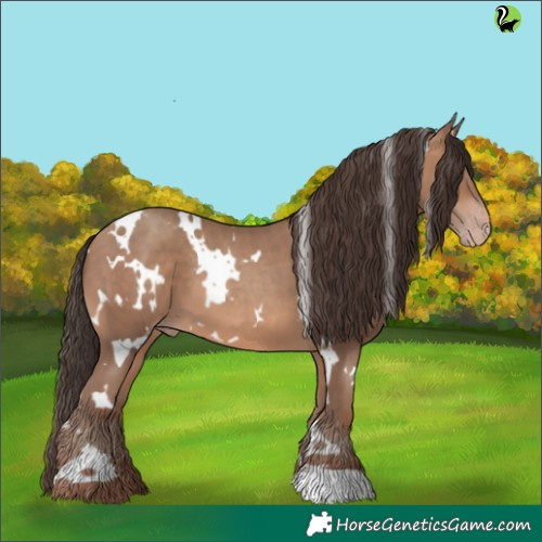 Horse Color:White Spotted Sable Champagne 