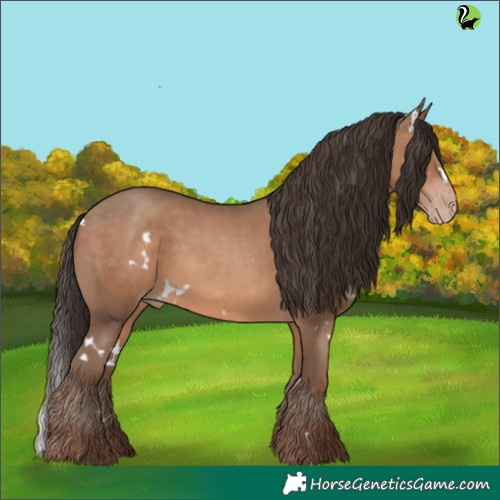 Horse Color:White Spotted Sable Champagne 