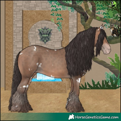 Horse Color:White Spotted Sable Champagne 