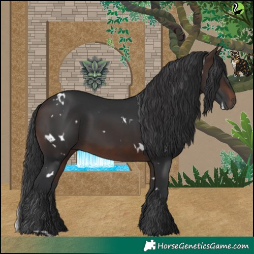Horse Color:White Spotted Brown 