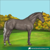 Horse Color:Unknown 