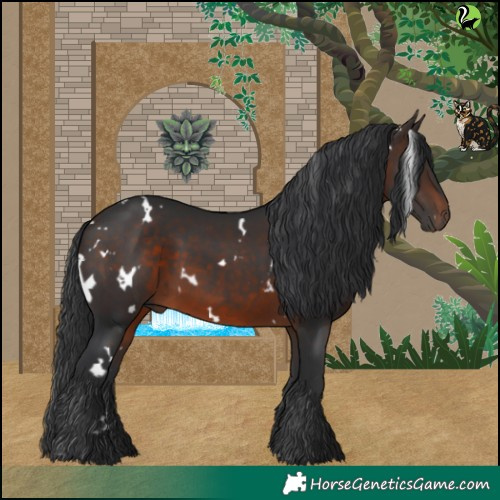 Horse Color:White Spotted Brown 