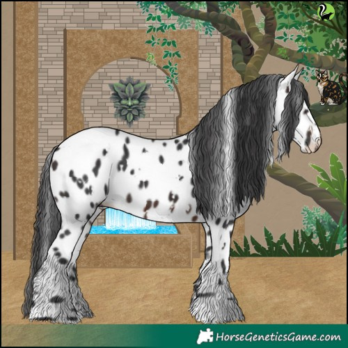 Horse Color:White Spotted Brown Near Leopard 