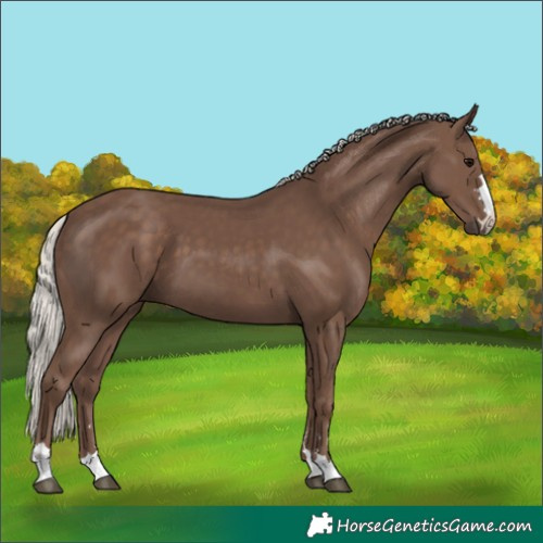 Horse Color:Silver Black 