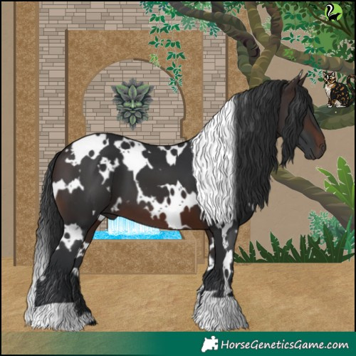 Horse Color:White Spotted Brown 