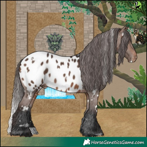 Horse Color:White Spotted Brown Blanket 