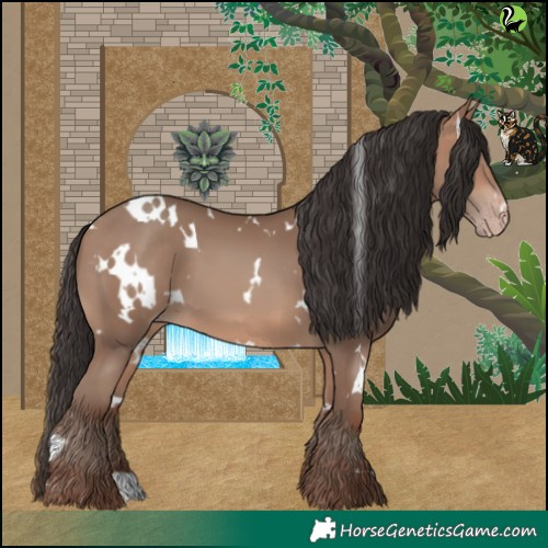 Horse Color:White Spotted Sable Champagne 