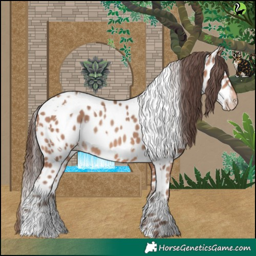 Horse Color:White Spotted Sable Champagne Near Leopard 