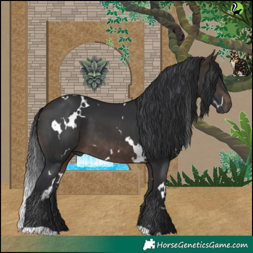 Horse Color:White Spotted Brown 