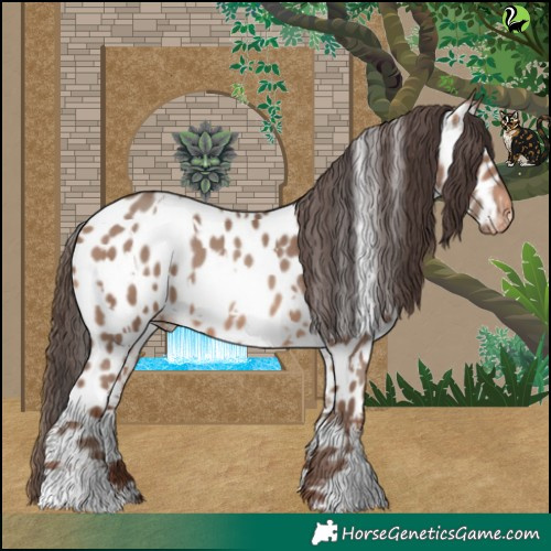 Horse Color:White Spotted Sable Champagne Appaloosa 
