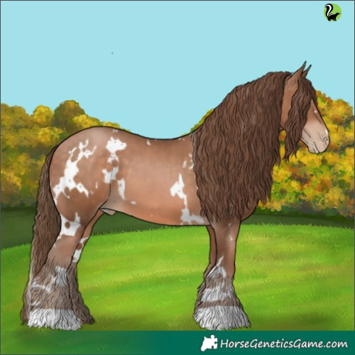 Horse Color:White Spotted Brown Pearl 
