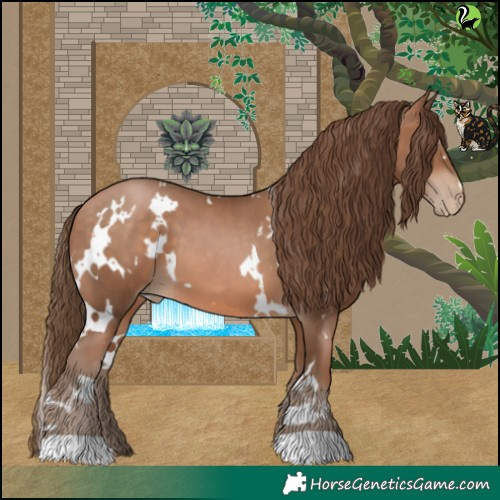 Horse Color:White Spotted Brown Pearl 
