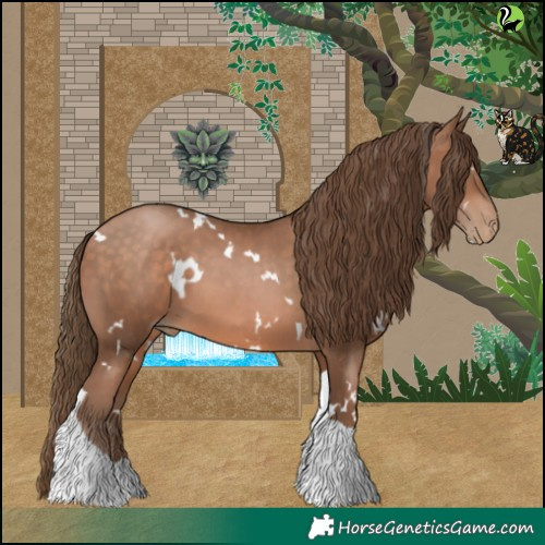 Horse Color:White Spotted Brown Pearl Tobiano 